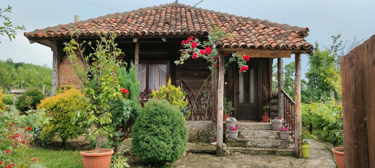 Smestaj Durungara Jovic Petrovac na Mlavi Exterior foto